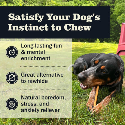 Redbarn Pet Products 7 Inch Bully Sticks - Case of 35 - Naturally Low Odor Long Lasting 100% Beef Chews for Medium Large Dogs & Puppies - Best Single Ingredient Treat Reward