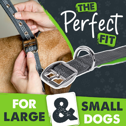 Mighty Paw Ultra Soft Dog Collar - Ultimate Comfort with Super Soft Neoprene Padding for Large and Small Dogs - Stay Safe and Visible with Reflective Threading - Fun in All Climates