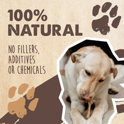 Mighty Paw 100% Natural Unbleached Cow Ears for Dogs - Single Ingredient - Cows Ears for Dogs Chew Treats Suitable for Small, Medium & Large Breeds - Pet Chews (12 Pack)